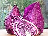 Photo Seeds Cabbage Red Kalibos Vegetable Heirloom for Planting Non GMO, best price $8.99, bestseller 2024