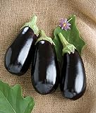 Photo David's Garden Seeds Eggplant Nadia 7492 (Black) 25 Non-GMO, Hybrid Seeds, best price $3.45, bestseller 2024