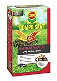 Foto Compo SAAT Rasen-Reparatur-Mix, Mischung aus Rasensamen und Rasendünger mit 3 Monate Langzeitwirkung, 1,2 kg, 50 m², bester Preis 26,99 € (22,49 € / kg), Bestseller 2024