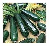 Photo David's Garden Seeds Zucchini Black Beauty 1454 (Green) 50 Non-GMO, Heirloom Seeds, best price $3.45, bestseller 2024