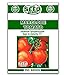 Marglobe Tomato Seeds - 250 Seeds Non-GMO new 2024