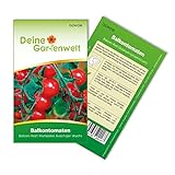Foto Balkontomaten Balkonzauber Samen - Solanum lycopersicum - Balkontomatensamen - Gemüsesamen - Saatgut für 15 Pflanzen, bester Preis 1,99 € (0,13 € / stück), Bestseller 2024