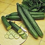 Photo Cucumber, Long Green Improved Seeds, Non-GMO, 25 Seeds per Package,Long Green Improved Cucumber is a Strong, Vigorous Producer . Jacobs Ladder Ent., best price $1.99 ($1.99 / Count), bestseller 2024