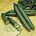 Cucumber, Long Green Improved Seeds, Non-GMO, 25 Seeds per Package,Long Green Improved Cucumber is a Strong, Vigorous Producer . Jacobs Ladder Ent. new 2024