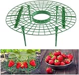 Photo JJZJ 5 Pack Strawberry Supports with 4 Sturdy Legs for Keeping Plant Clean and Not Rot in Rainy Days, best price $11.99, bestseller 2024