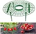JJZJ 5 Pack Strawberry Supports with 4 Sturdy Legs for Keeping Plant Clean and Not Rot in Rainy Days new 2024