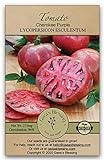 Photo Gaea's Blessing Seeds - Tomato Seeds - Cherokee Purple Slicing Tomato - Non-GMO Seeds with Easy to Follow Planting Instructions - Open-Pollinated 96% Germination Rate, best price $6.99, bestseller 2024