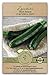 Gaea's Blessing Seeds - Zucchini Seeds - Non-GMO - with Easy to Follow Planting Instructions - Heirloom Black Beauty Summer Squash 97% Germination Rate new 2024