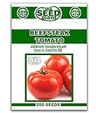 Photo Beefsteak Tomato Seeds - 250 Seeds Non-GMO, best price $1.79, bestseller 2024