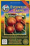 Photo Everwilde Farms - 100 Golden Detriot Beet Seeds - Gold Vault Jumbo Seed Packet, best price $2.98, bestseller 2024
