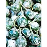 Photo David's Garden Seeds Eggplant Kermit (Green) 25 Non-GMO, Hybrid Seeds, best price $3.45, bestseller 2024