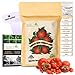 NatureZ Edge Heirloom Tomato Seeds for Planting Home Garden - 10 Heirloom Tomatoes Variety Pack and 10 Garden Markers - Non GMO Heirloom Tomatoes Seeds - Beefsteak, Jubilee, Cherry, Roma, and More new 2024