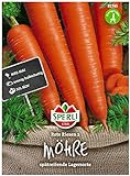 Foto Sperli Premium Möhren Samen Rote Riesen 2 ; Große kegelförmige Rüben ; Karotten Samen für ca. 1000 Karotten, bester Preis 2,17 €, Bestseller 2024
