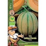 Foto Semillas ecológicas de Melon Cantalupo Di Charentais, mejor precio 4,42 €, éxito de ventas 2024