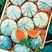10 Savor Melon Seeds | Exotic Garden Fruit Seeds to Plant | Sweet Exotic Melons, Grow and Eat new 2024