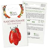 Foto Tomaten Samen San Marzano: Premium Tomatensamen zum einfachen Anbau von Tomatenpflanzen für Balkon und Garten – Alte Tomatensorten Samen für köstliche Flaschentomaten – 5 Gemüse Samen von OwnGrown, bester Preis 2,35 € (0,47 € / stück), Bestseller 2024