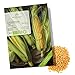 BIO Zuckermais Samen (Golden Bantam, 30 Korn) - Mais Saatgut aus biologischem Anbau ideal für die Anzucht im Garten, Balkon oder Terrasse neu 2024