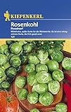 Foto Rosenkohl Roodnerf spät, bester Preis 2,49 €, Bestseller 2024