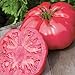 Burpee 'Caspian Pink' Heirloom | Large Pink Beefsteak Slicing Tomato | 30 Seeds new 2024