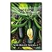 Sow Right Seeds - Black Beauty Zucchini Seed for Planting - Non-GMO Heirloom Packet with Instructions to Plant a Home Vegetable Garden - Great Gardening Gift (1) new 2024