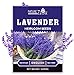 1400 English Lavender Seeds for Planting Indoors or Outdoors, 90% Germination, to Give You The Lavender Plant You Need, Non-GMO, Heirloom Herb Seeds new 2024