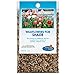 Partial Shade Wildflower Seeds Bulk - Open-Pollinated Wildflower Seed Mix Packet, No Fillers, Annual, Perennial Wildflower Seeds Year Round Planting - 1 oz new 2024