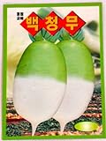 Photo Radish Seeds Korean.2 Pack(4grams-Each), best price $5.95, bestseller 2024