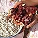 Red Strawberry Popcorn Seeds (25 Seeds) new 2024