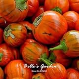 Foto Naranja berenjena 20pcs turca Vegetable Seeds Inicio Plantas Bonsai Garden bricolaje, mejor precio 14,98 €, éxito de ventas 2024