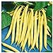 Everwilde Farms - 1/4 Lb Organic Golden Wax Yellow Bean Seeds - Gold Vault new 2024