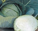 Photo Stone Head Hybrid Cabbage Seeds, best price $1.99, bestseller 2024
