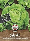 Foto 82759 Sperli Premium Kopfsalat Samen Attraktion | Zart | Große Köpfe | Kopfsalat Saatgut | Salat Saatgut | Schossfest, bester Preis 3,87 €, Bestseller 2024