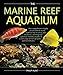 The Marine Reef Aquarium new 2024