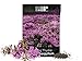 1,000 Creeping Thyme Seeds for Planting - Heirloom Non-GMO Ground Cover Seeds - AKA Breckland Thyme, Mother of Thyme, Wild Thyme, Thymus Serpyllum - Purple Flowers new 2024