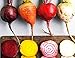 Rainbow Mix Heirloom Beet Seeds Gold, White, Red and Chioggia! bin316 (180+ Seeds, or 1/8 oz) new 2024