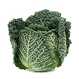 Photo Savoy Perfection Cabbage Seeds - 50 Count Seed Pack - Non-GMO - A Unique Hardy Crop with a Sweet and Delicate Flavor That Makes an Excellent Addition to Many Dishes. - Country Creek LLC, best price $2.29 ($0.05 / Count), bestseller 2024