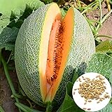 Foto Semillas de melón cantaloupe, 1 bolsa de semillas dulce germen jugoso semillas de frutas naturales de la huerta, mejor precio 0,01 €, éxito de ventas 2024