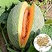 Semillas de melón cantaloupe, 1 bolsa de semillas dulce germen jugoso semillas de frutas naturales de la huerta nuevo 2024