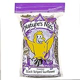 Photo Nature's Nuts Premium Black Striped Sunflower Seed - 16 lb., best price $42.56, bestseller 2024
