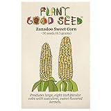 Photo Zanadoo Sweet Corn Seeds - Pack of 30, Certified Organic, Non-GMO, Open Pollinated, Untreated Vegetable Seeds for Planting – from USA, best price $7.49, bestseller 2024