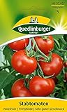 Foto Tomatensamen - Tomate Harzfeuer F1 von Quedlinburger Saatgut, bester Preis 2,81 €, Bestseller 2024