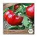 Samenliebe BIO Paprika Samen alte Sorte Rote Tomatenpaprika süß aromatische ungarische Paprika Gemüsepaprika rot 10 Samen samenfestes Gemüse Saatgut für Gewächshaus Freiland und Balkon BIO Gemüsesamen neu 2024