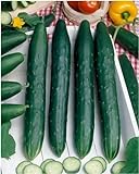 Photo Burpless #26 Hybrid Cucumber Seeds - Cucumis Sativus - 0.5 Grams - Approx 18 Gardening Seeds - Vegetable Garden Seed, best price $2.99, bestseller 2024
