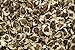 Moringa oleifera - 20 semillas - ¡rábano picante! nuevo 2024