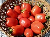 Photo 75+ Roma VFN- Heirloom Tomato Seeds, best price $3.89, bestseller 2024