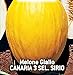 Semillas de melón amarillo canario 3 sel - frutas - sirio - melones amarillos - cucumis melo - las mejores semillas de plantas - flores vegetales - raro - idea de regalo - 180 semillas aprox. nuevo 2024