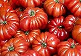 Photo 30+ Costoluto Genovese Pomodoro Tomato Seeds, Heirloom Non-GMO, Low Acid, Indeterminate, Open-Pollinated, Productive, from USA, best price $2.65, bestseller 2024