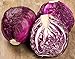 NIKA SEEDS - Vegetable Cabbage Purple - 150 Seeds new 2024