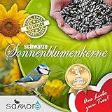 Foto Sonnenblumenkerne schwarz 25 kg erstklassige Qualität Wildvogelfutter, bester Preis 35,49 € (1,42 € / kg), Bestseller 2024