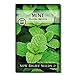 Sow Right Seeds - Mint Seed for Planting - Non-GMO Heirloom Seeds - Instructions to Plant and Grow an Herbal Tea Garden, Indoors or Outdoor; Great Gardening Gift (1) new 2024